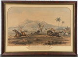 The Wounded Boar Charging Will Tayler Lithograph