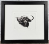 William Gamradt Cape Buffalo Etching