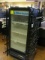 TRUE MODEL GDM-10-58 COLD BEVERAGE MERCHANDISER