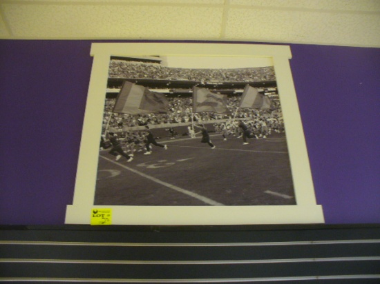 LSU FRAMED PRINT