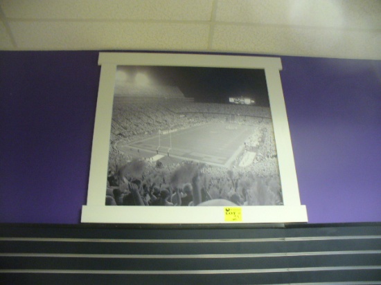 LSU FRAMED PRINT