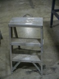 Two Step Ladder 24