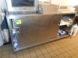 CABINET STAINLESS STEEL 60 X 30 WITH NO BACK