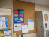 4X3 BULLETIN BOARD