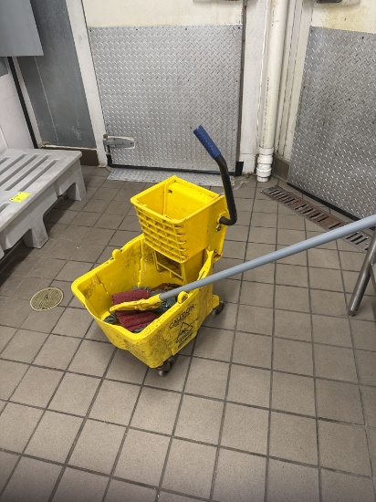 Mop bucket w/ mop