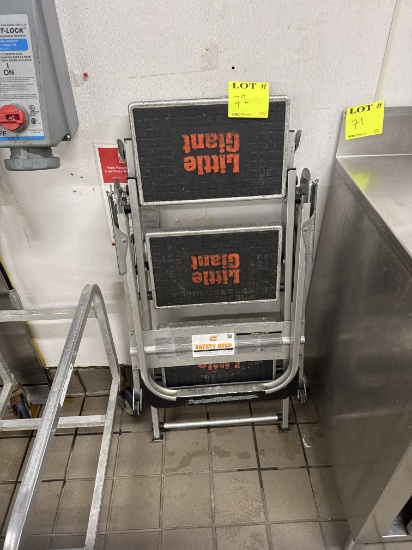 3 step ladder