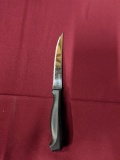 Plastic Handle Pointed Tip Steak Knife