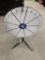 Wheel of Fortune Wheel