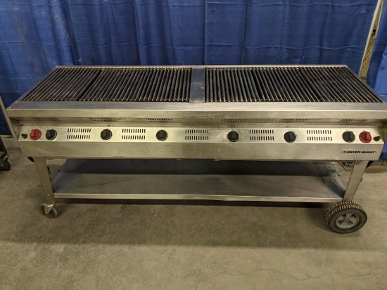 Silver Giant Propane BBQ