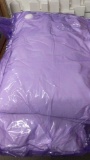 Twin Mattress/Pillows
