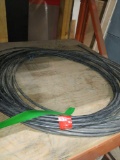 Electric wire