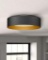 Ceiling light