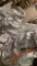 Car Cover