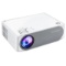 Projector