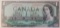 Canadian Bill