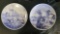 Delft Blue Plates