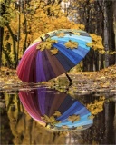 Art/Decoration