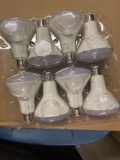 Bulbs
