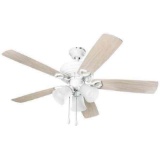 Ceiling Fan