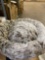 Pet bed
