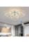 Ceiling Light