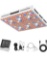 Grow Light