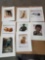 Assorted Prints