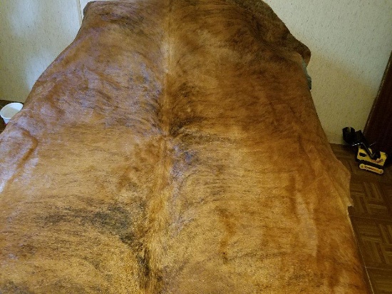 Geniune Brindle XL Cowhide: large enough to cover a queen size bed