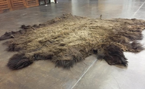 Large Buffalo Hide Robe or Rug