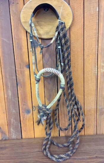 Rawhide Bosal with Horsehair Reins