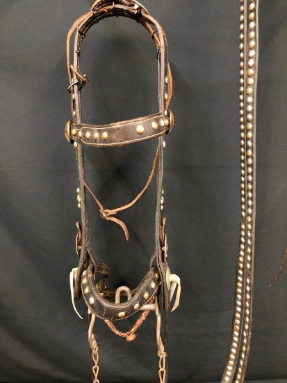 Vintage Spotted Bridle with Buermann Bit