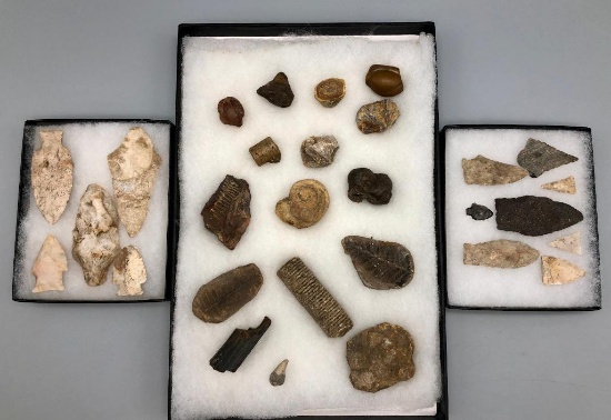 Arrowhead and Artifact Displays