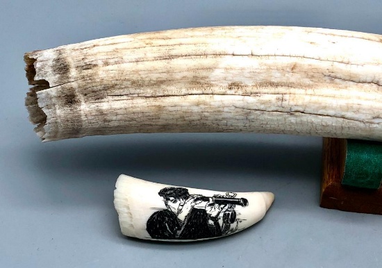 Antique Walrus Tusk and Whale's Tooth Scrimshaw