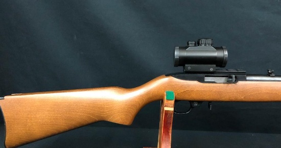 Ruger 10-22