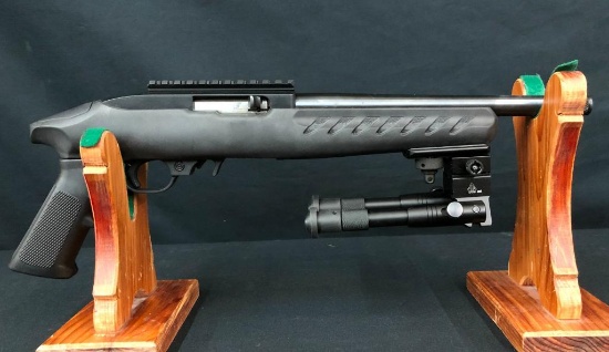 Ruger 22 Charger