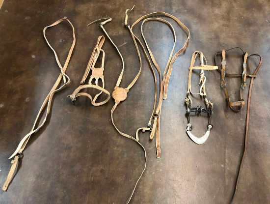 Argentine Bridle and Hackamore Set-Ups