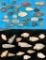 Group of Mid-West Prehistoric Points