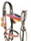 Hitched Horsehair And Leather Bridle By Wyoming Prisoner, Joseph Murphy