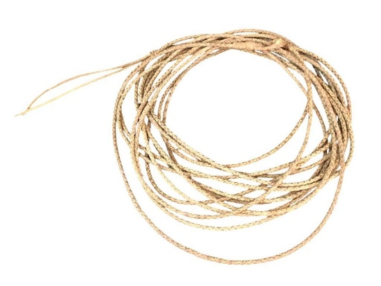 Finely Braided Fifty Five Foot Rawhide Riata