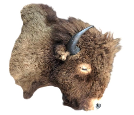 Buffalo Mount In Winter Coat