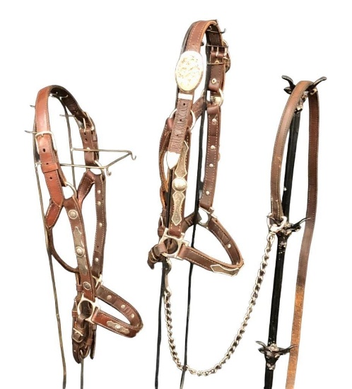 Two Fancy Show Halters