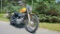 2005 Harley-Davidson XL 883C Motorcycle