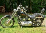 2004 Harley-Davidson FXST Motorcycle, VIN # 1hd1BHY134Y053811