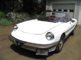 1985 Alfa-Romeo Graduate Roadster