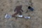 Sasquatch Weather Vane