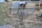 Antique Horse Drawn John Deere Hay Rake