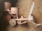 Powell Seeder