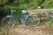 Pair of Firestone Bicycles