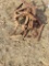Cultivator frame from old Farmall or small Tractor
