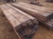 Stack of Oak 1
